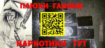 крисы Можга