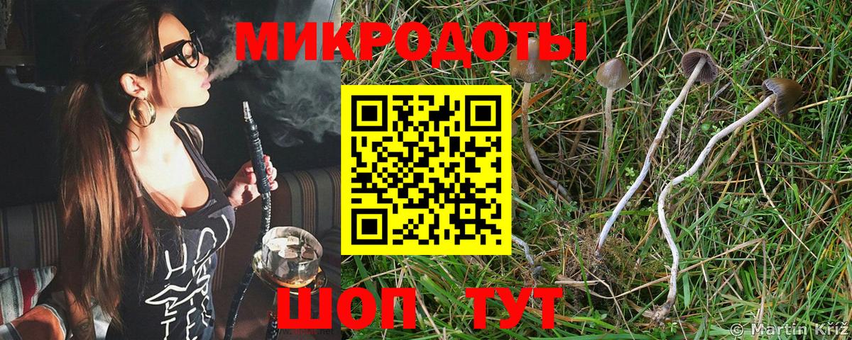 Галлюциногенные грибы Psilocybine cubensis  Вход с VPN  Усть-Джегута 